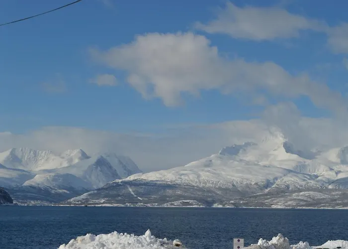 Lodger Lyngenfjord, Frøyas Hus *